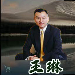 王琳